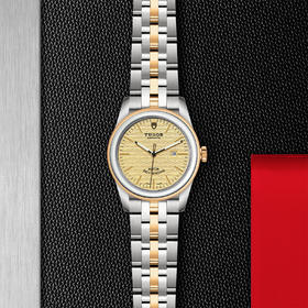 帝舵骏珏日历型 | 钢表壳，直径31毫米  黄金及钢外圈