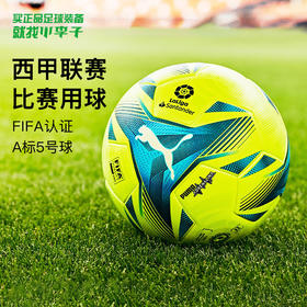 PUMA/彪马 西甲高亮比赛配色迷你球08365501