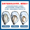 乳山刺身蚝 生蚝  单只3.5-4两起步  （生蚝可免费撬开，先称重后撬蚝，需要备注！） 商品缩略图2