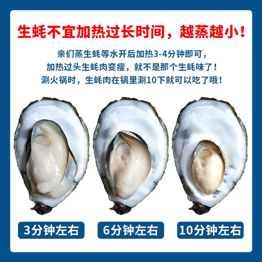乳山刺身蚝 生蚝  单只3.5-4两起步  （生蚝可免费撬开，先称重后撬蚝，需要备注！） 商品图2