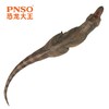 PNSO诸城暴龙鲁雄恐龙大王成长陪伴模型58 商品缩略图4