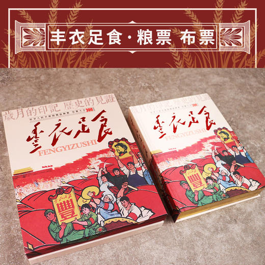 【丰衣足食】中国粮布票大全珍藏册（300枚） 商品图4