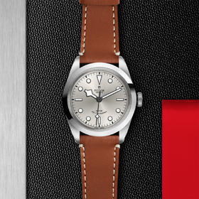 帝舵碧湾型41 | 钢表壳，直径41毫米  棕色皮表带