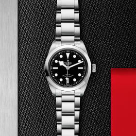 帝舵碧湾型36 | 钢表壳，直径36毫米  钢表带