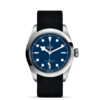 帝舵碧湾型41 | 钢表壳，直径41毫米  黑色织纹表带 商品缩略图1