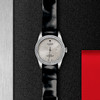 帝舵骏珏日历型 | 钢表壳，直径31毫米  镶钻外圈 商品缩略图0