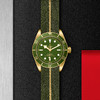 帝舵碧湾1958型18K | 黄金表壳，直径39毫米  棕色鳄鱼皮表带 附送表带 商品缩略图0