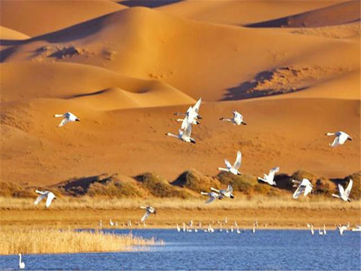 五一5日【腾格里穿越】北京户外大巴团远征腾格里-五湖连穿-百人穿越队（含露营装备） 商品图7