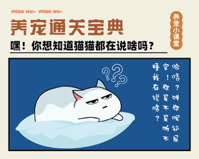 嘿！你想知道猫猫都在说啥吗？