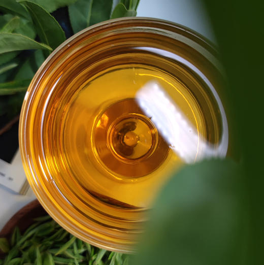 米造局10度碧螺春梅酒720ml 商品图1