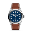 帝舵碧湾型41 | 钢表壳，直径41毫米  棕色皮表带 商品缩略图1