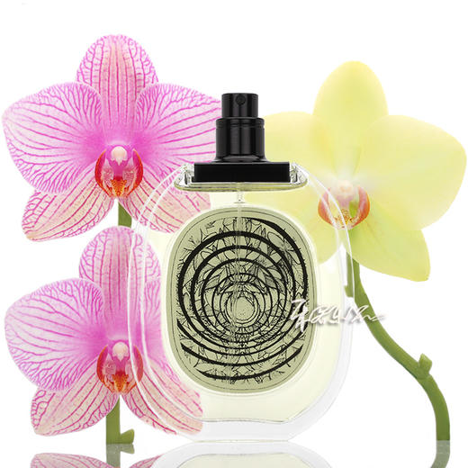 蒂普提克 感官之水 Diptyque Eau des Sens 小样/正装 商品图2