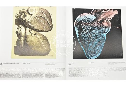 现货 解剖学：探索人体 英文原版 Anatomy: Exploring the Human Body 费顿出版社 phaidon 医学历史 艺术画册 精装 商品图2