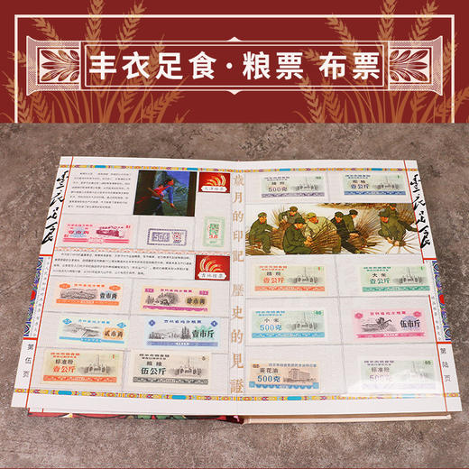 【丰衣足食】中国粮布票大全珍藏册（300枚） 商品图3