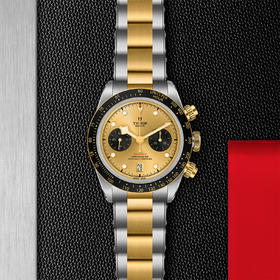 帝舵碧湾计时型黄金钢款 | 帝舵表原厂机芯MT5813型（COSC）  钢表壳，直径41毫米  黄金及钢表带