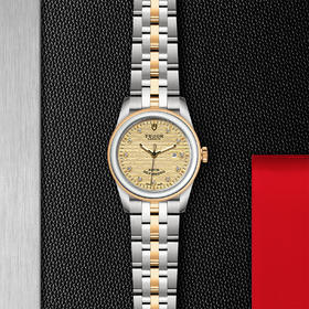 帝舵骏珏日历型 | 钢表壳，直径31毫米  镶钻表盘