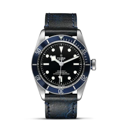 帝舵碧湾 | 钢表壳，直径41毫米  仿古皮表带 商品图1