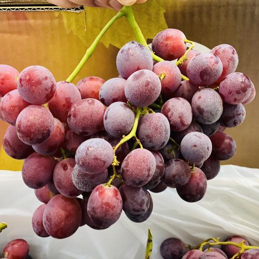 智利🇨🇱棒棒糖红提（500g/盒） 商品图2