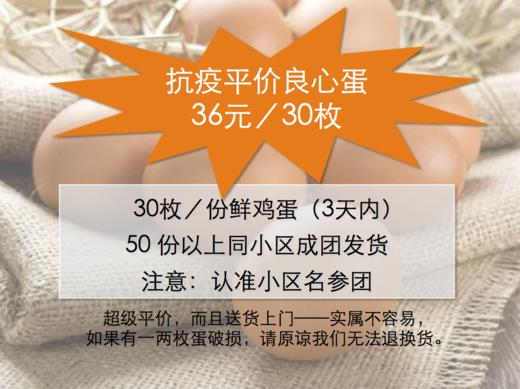 抗疫平价良心蛋 简装:30个鸡蛋/板，仅需36元 商品图0