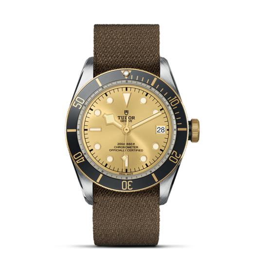 帝舵碧湾黄金钢型 |  帝舵表原厂机芯MT5612型（COSC）  钢表壳，直径41毫米  织纹表带 商品图1