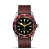 帝舵碧湾 | 钢表壳，直径41毫米  酒红色织纹表带 商品缩略图1