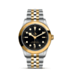 帝舵碧湾型39黄金钢款 | 帝舵表原厂机芯MT5602型（COSC）  钢表壳，直径39毫米  黄金及钢表带 商品缩略图1