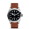 帝舵碧湾型41 | 钢表壳，直径41毫米  棕色皮表带 商品缩略图1