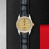 帝舵骏珏日历型 | 钢表壳，直径36毫米  黄金及钢外圈 商品缩略图0