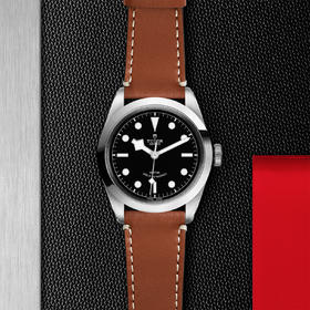 帝舵碧湾型41 | 钢表壳，直径41毫米  棕色皮表带