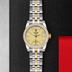 帝舵骏珏星期日历型 | 钢表壳，直径39毫米  黄金及钢外圈