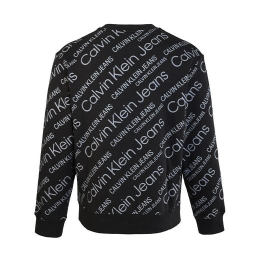 凯文克莱(Calvin Klein)男装CK男士连帽卫衣春秋薄款10612 商品图1