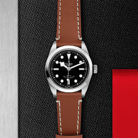 帝舵碧湾型36 | 钢表壳，直径36毫米  棕色皮表带
