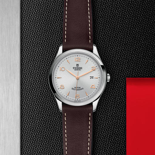 帝舵1926系列 | 钢表壳，直径41毫米  银色表盘 商品图0