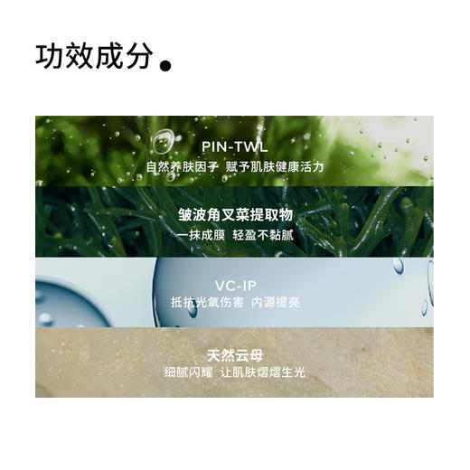 【pinpoint】 标点 雨林雾凇光感身体素颜霜 150ml 商品图2