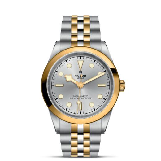 帝舵碧湾型41黄金钢款 |  帝舵表原厂机芯MT5601型（COSC）  钢表壳，直径41毫米  黄金及钢表带 商品图1