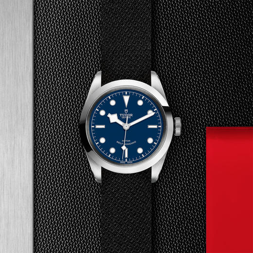 帝舵碧湾型41 | 钢表壳，直径41毫米  黑色织纹表带 商品图0