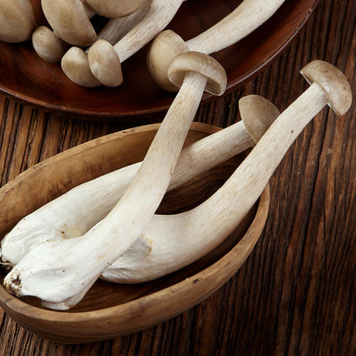 【生鲜预定】鹿茸菇400g/袋 商品图0