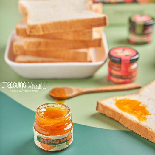 葡萄树缤纷果酱（一件包邮） 商品图2