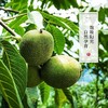 巫溪高山地区山核桃 商品缩略图2