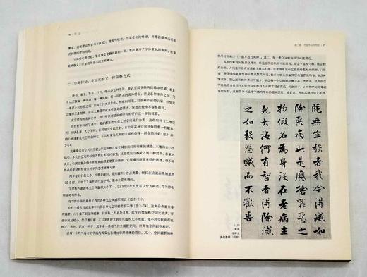 《书法的七个问题》，16开平装，邱振中著，中国人民大学出版社2011年版，414页，定价49.8元，售价42元，非偏远地区包邮。品相9成。中国书法是中国独特的文化瑰宝，欣赏、学习书法是深入 商品图8