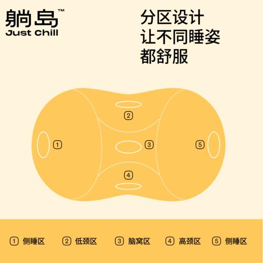 躺岛猫肚皮枕经典款枕头 商品图3