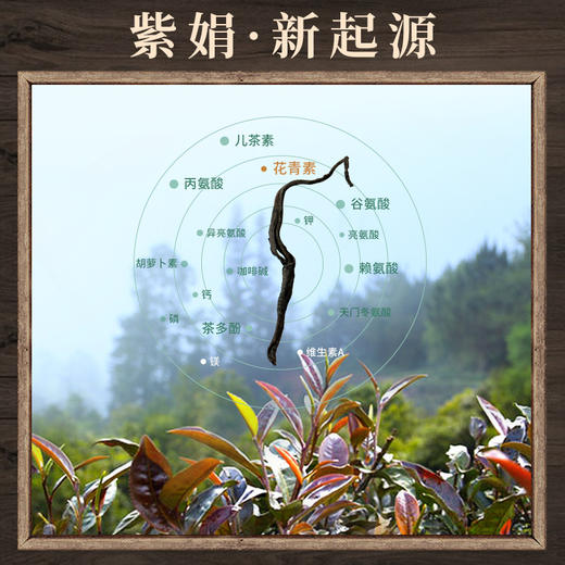 【稀缺新品】凤牌红茶滇红茶云南凤庆特级紫娟200g茶叶 商品图2