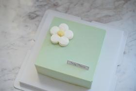 法式慕斯蛋糕 | 覆盆子开心果慕斯 - 雏菊