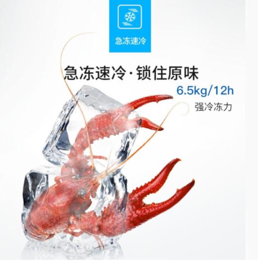 美菱(MELING)221升 家用商用冰柜 双箱双温冷柜 一级能效 双开门 节能冷藏冷冻卧式冰箱 BCD-221DT 商品图1