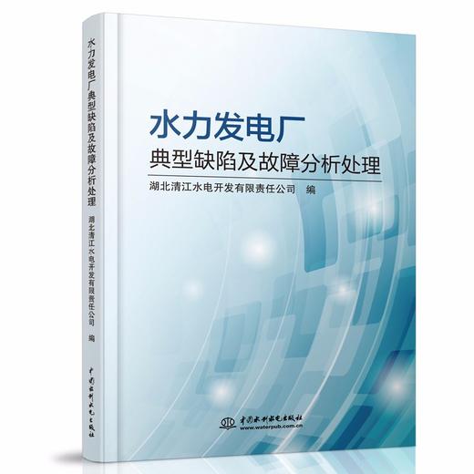 水力发电厂典型缺陷及故障分析处理 商品图0