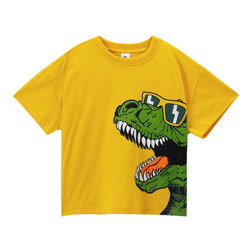 【49元/2件】儿童纯棉T恤 A类材质 纯棉 亲肤柔软舒适 商品图4