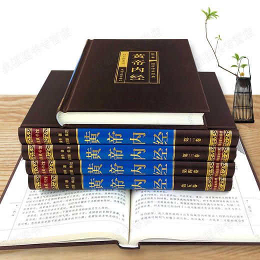 【优惠套装】【绸面精装全6册】黄帝内经全集无删减 文白对照阅读 由素问和灵柩组成 是中医四大名著之一中医基础理论书籍图解皇帝内经白话版hm 商品图3