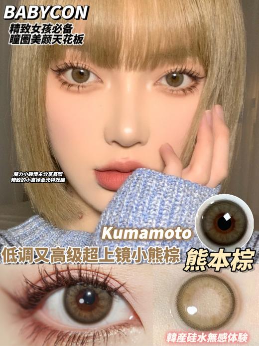 babycon  熊本棕 商品图1