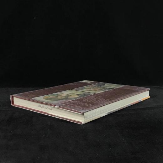 西斯廷礼拜堂复原图集（1999年） 312幅插图（293幅彩色） 精装大16开 商品图2