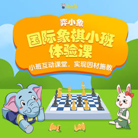 【弈小象】国际象棋小班直播课  1节小班直播体验课+3节趣味动画课